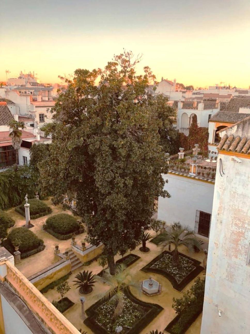 Atico Caleria Con Vistas A La Giralda Apartment Seville Ngoại thất bức ảnh